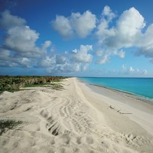 Meet your Posher, Tamera